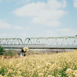 菜の花と武蔵野線