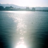 海鳥