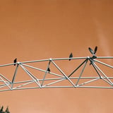 鳩