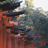 鳥居