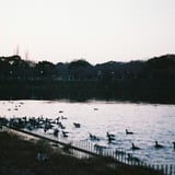 池
