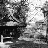 真福寺/早川