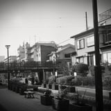 小津橋