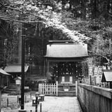 富士浅間神社