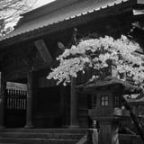 富士浅間神社