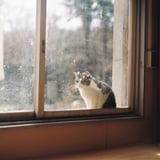 こんにちは