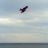七里ヶ浜