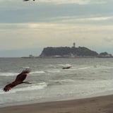 七里ヶ浜