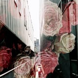 multiple exposure