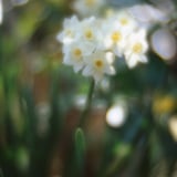 木漏れ日の中で