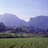 夏の行縢（むかばき）山