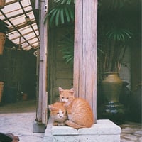 みさきのプロフィール画像