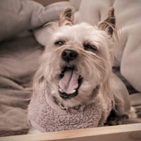 あじろうのプロフィール画像