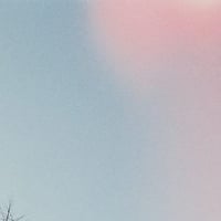 SHINSUKEのプロフィール画像