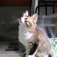 kenken18のプロフィール画像
