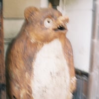 こおろぎのプロフィール画像