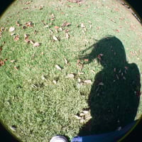 midoriのプロフィール画像