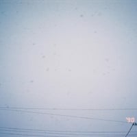 cotoriのプロフィール画像