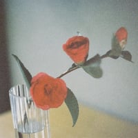 parallelworld_p_w_のプロフィール画像
