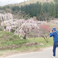 しげしげのプロフィール画像