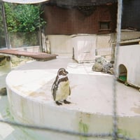 hikariのプロフィール画像