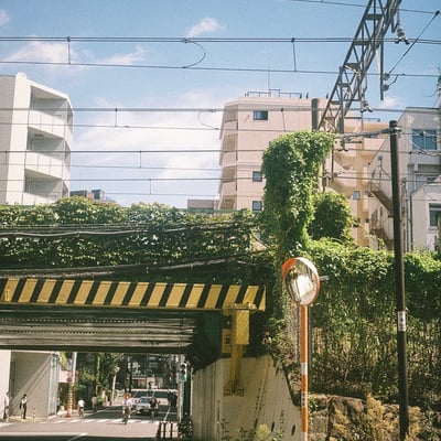 緑に覆われた高架下