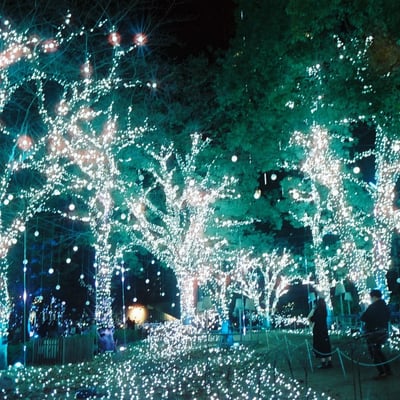 MIDTOWN CHRISTMAS 2024