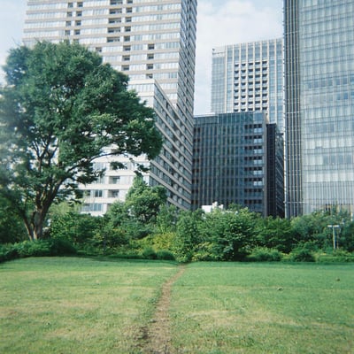 ビル街へと続く一本の小道