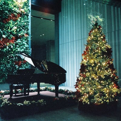 クリスマスツリー🎄