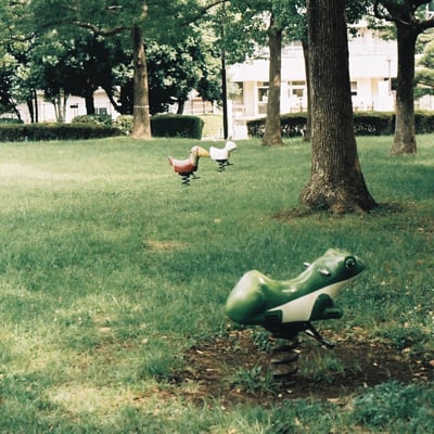 水元公園の🐸