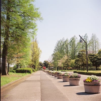 水元公園を歩く