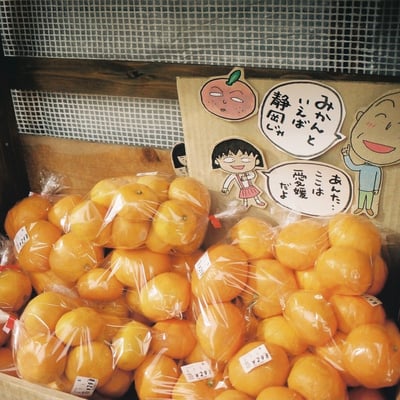 あんた...ここは愛媛だよ