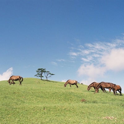 Windows XP