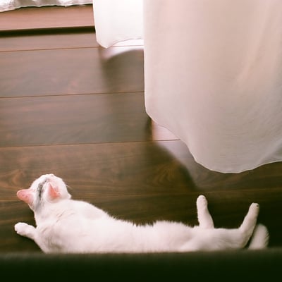そよ風