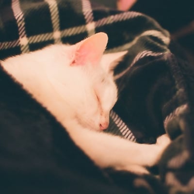 あったかくしてね