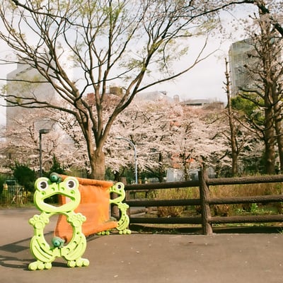 密かに撮り集めています