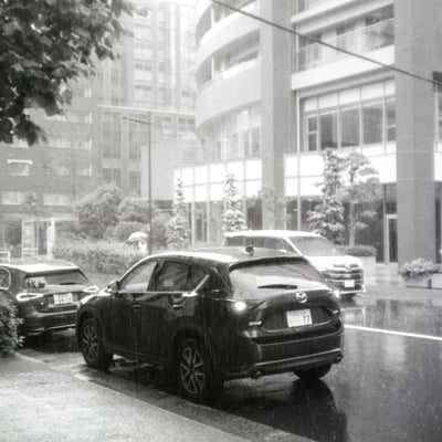 雨の日に