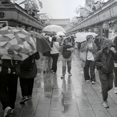 雨の浅草