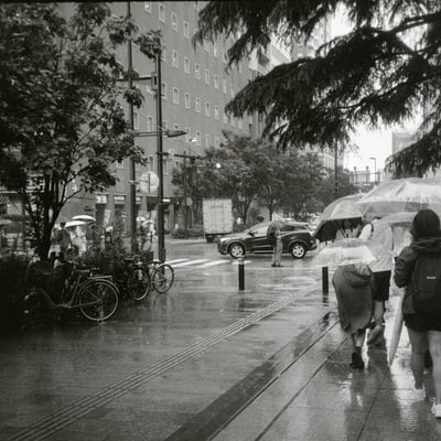 雨の日に