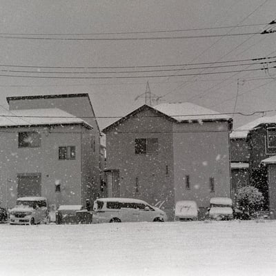雪の日に