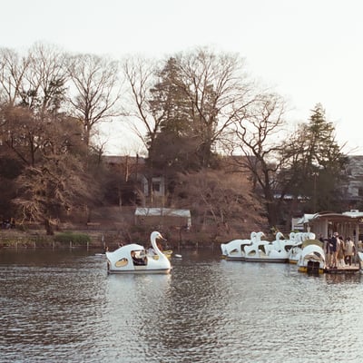 井の頭公園にて