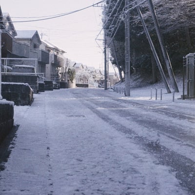 雪の日に