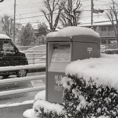 雪の日に