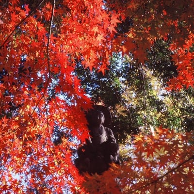 九品仏浄真寺