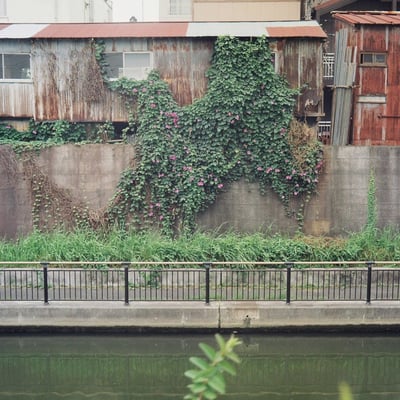 対岸