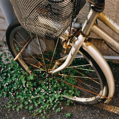 Wheel