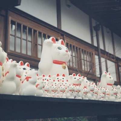 豪徳寺