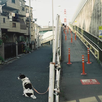 鉄塔のある町