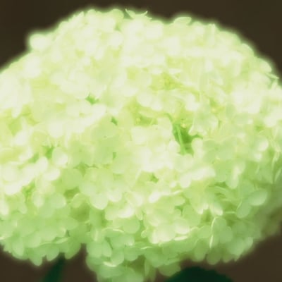 輝く