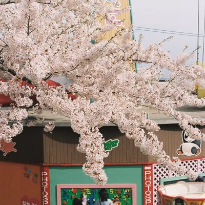こどものくに